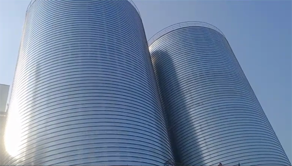 阳明2座混凝土高架卷板仓